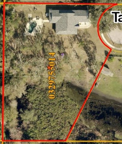 2401 TANGERINE HILL COURT, Lutz, FL 33549