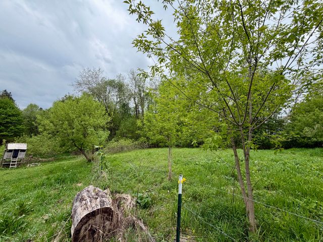9435 E Garfield Road, Greenwood Twp, MI 49421