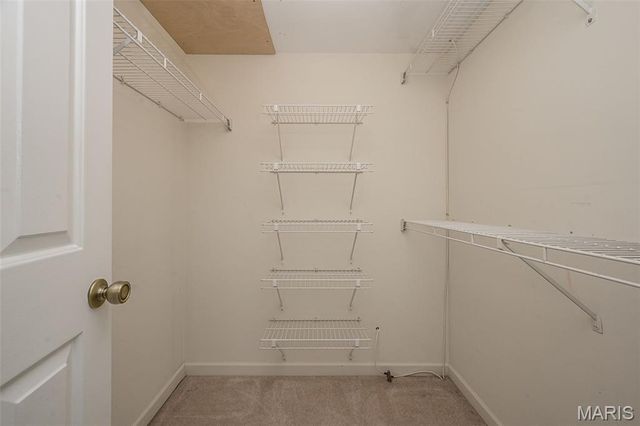 415 W Jefferson Avenue 301, Kirkwood, MO 63122