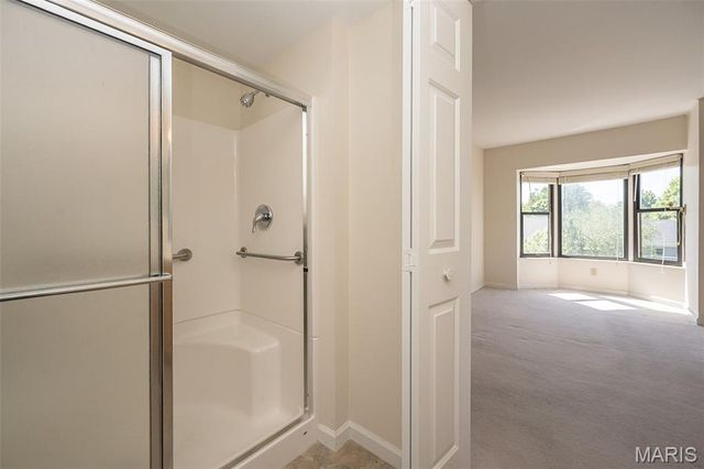 415 W Jefferson Avenue 301, Kirkwood, MO 63122