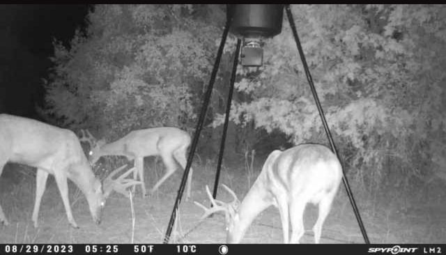 1500 Brown Road, Palo Pinto, TX 76484