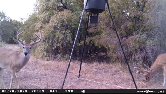 1500 Brown Road, Palo Pinto, TX 76484