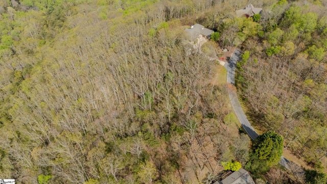 53 Harrier Lane, Landrum, SC 29356