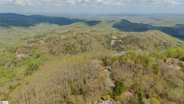 53 Harrier Lane, Landrum, SC 29356