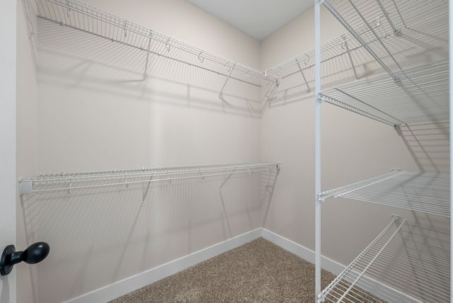 305 Wayne Hall Rd, Clarksville, TN 37040