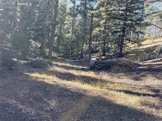 453 Homestead Drive, Woodland Park, CO 80863