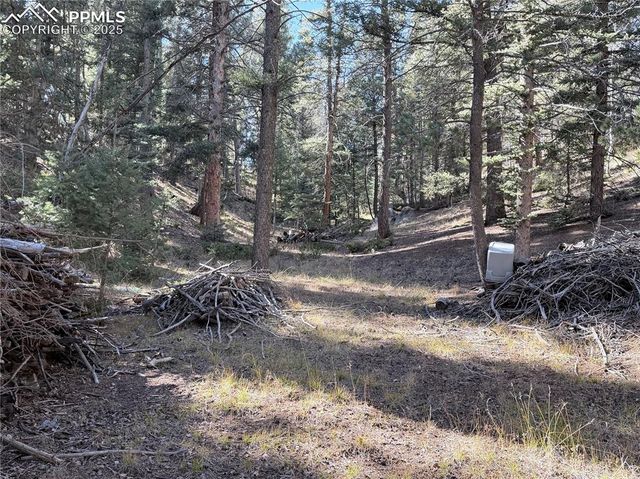 453 Homestead Drive, Woodland Park, CO 80863