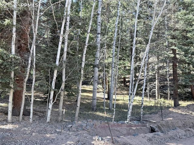 453 Homestead Drive, Woodland Park, CO 80863