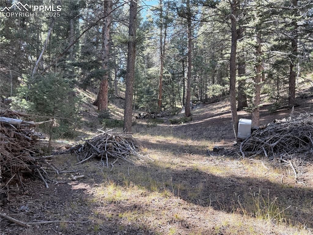 453 Homestead Drive, Woodland Park, CO 80863 — photo 3
