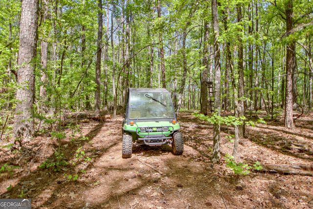 404 Tranquil Cemetary Road, Senoia, GA 30276