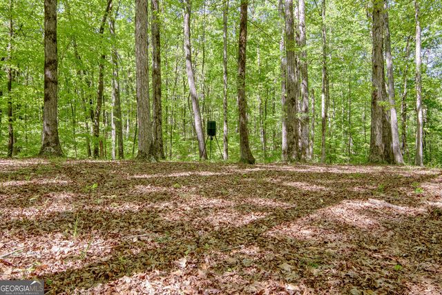 404 Tranquil Cemetary Road, Senoia, GA 30276
