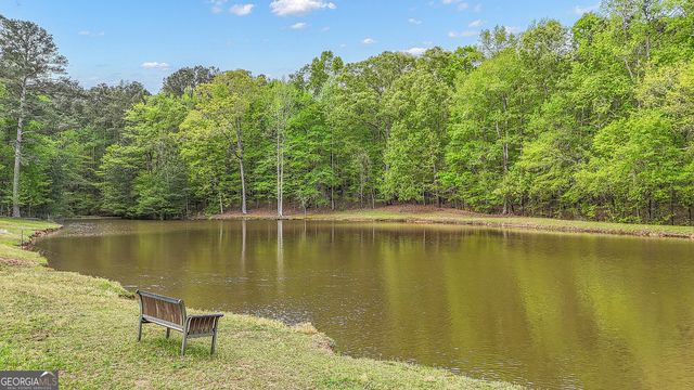 404 Tranquil Cemetary Road, Senoia, GA 30276