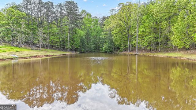 404 Tranquil Cemetary Road, Senoia, GA 30276