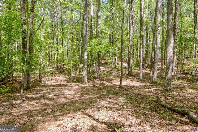 404 Tranquil Cemetary Road, Senoia, GA 30276