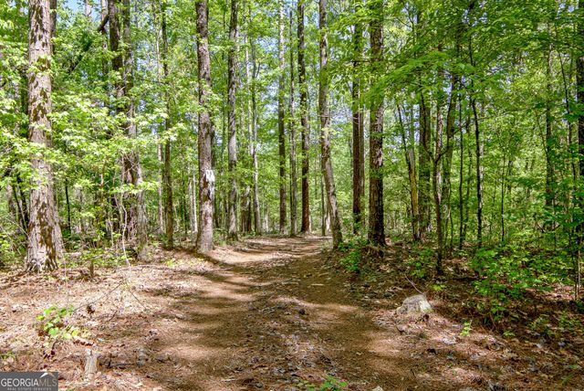 404 Tranquil Cemetary Road, Senoia, GA 30276