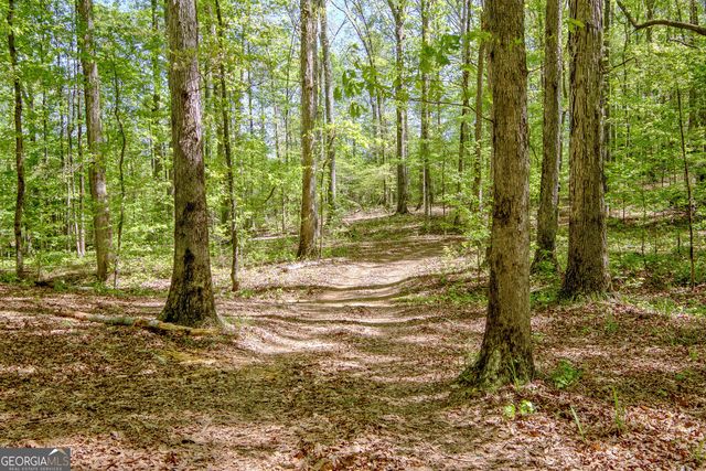 404 Tranquil Cemetary Road, Senoia, GA 30276