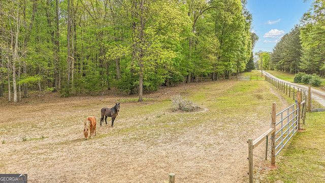 404 Tranquil Cemetary Road, Senoia, GA 30276