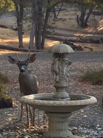 39406 John West Road, Oakhurst, CA 93644