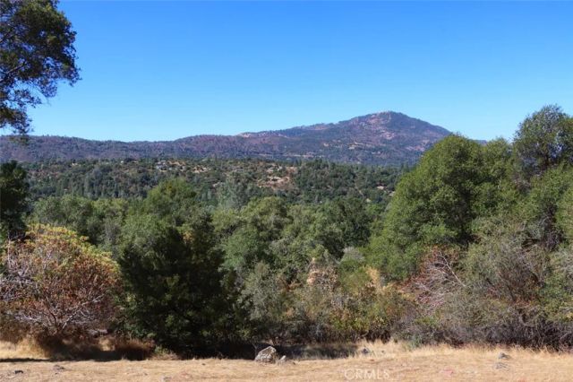 39406 John West Road, Oakhurst, CA 93644