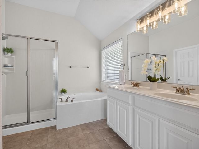 12304 Durango Root Drive, Fort Worth, TX 76244
