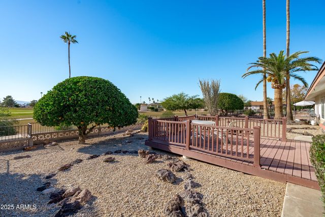 19820 N Cherry Tree Lane, Sun City, AZ 85373