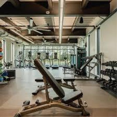 535 Chestnut Reef Court, Conroe, TX 77304