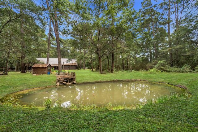 16338 Grand Flower Road, Plantersville, TX 77363