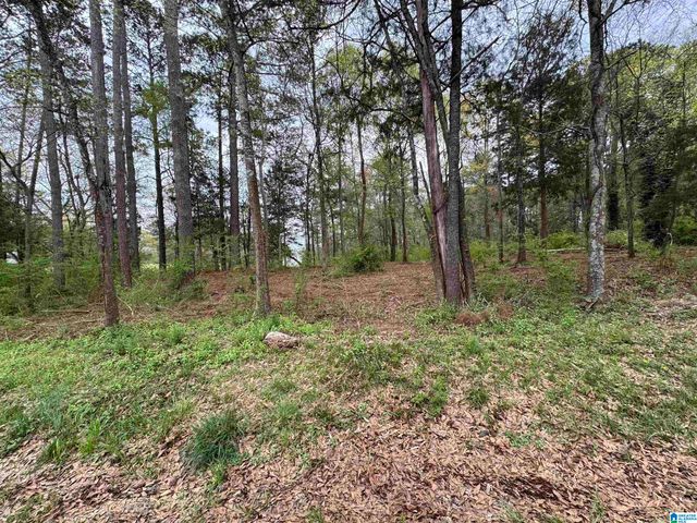 2318 ANNESLEY DRIVE, Pell City, AL 35128