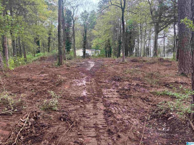 2318 ANNESLEY DRIVE, Pell City, AL 35128