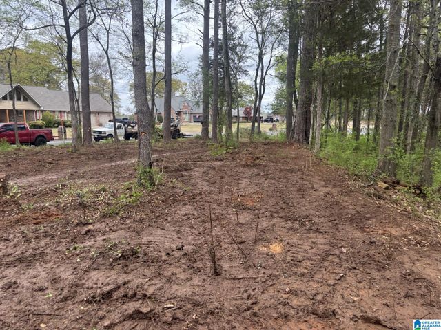 2318 ANNESLEY DRIVE, Pell City, AL 35128