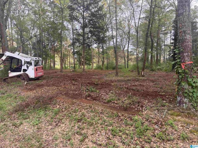 2318 ANNESLEY DRIVE, Pell City, AL 35128