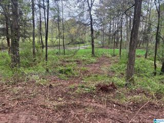 2318 ANNESLEY DRIVE, Pell City, AL 35128