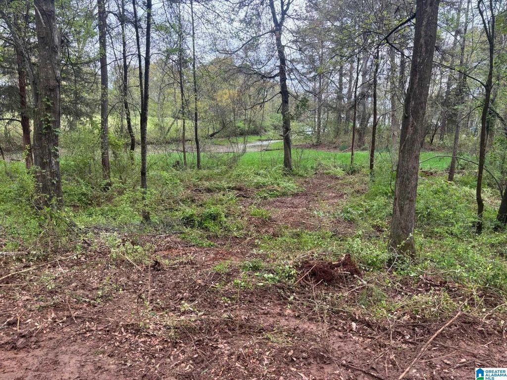 2318 ANNESLEY DRIVE, Pell City, AL 35128