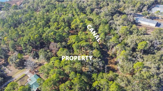 2319 W Wildflower Court, Dunnellon, FL 34434