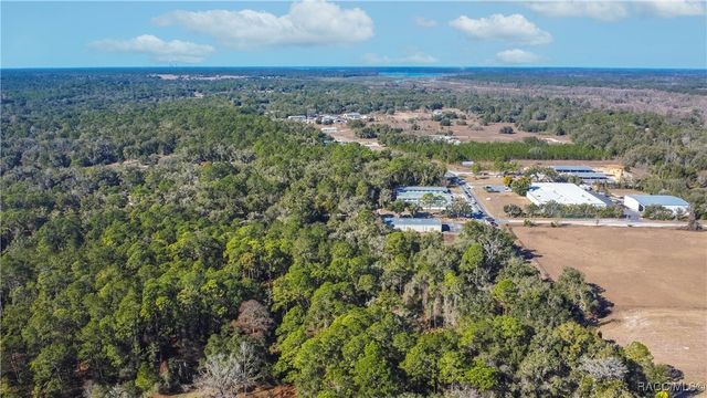 2319 W Wildflower Court, Dunnellon, FL 34434