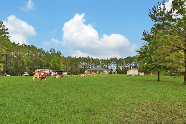 757 Big Woods Road, New Waverly, TX 77358