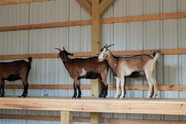 11268 Dance Hall Drive, Montgomery, TX 77316