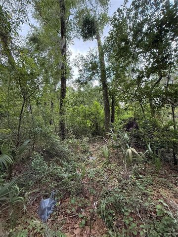 4117 SILVER LAKE DRIVE, Palatka, FL 32177