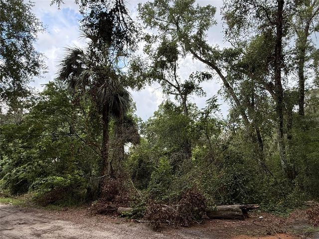 4117 SILVER LAKE DRIVE, Palatka, FL 32177