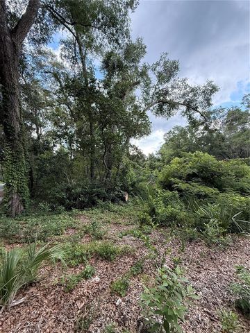 4117 SILVER LAKE DRIVE, Palatka, FL 32177
