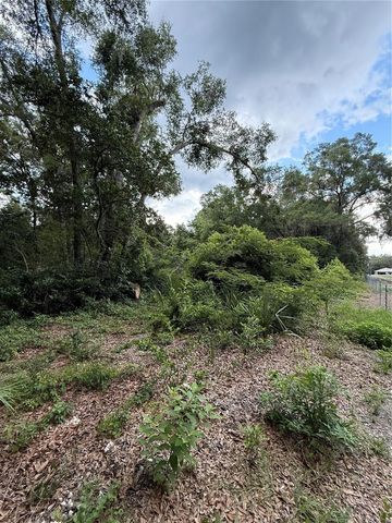 4117 SILVER LAKE DRIVE, Palatka, FL 32177