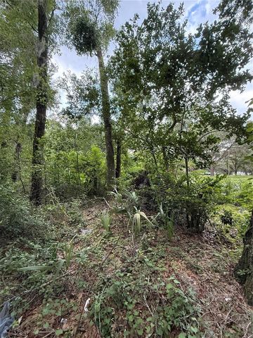 4117 SILVER LAKE DRIVE, Palatka, FL 32177