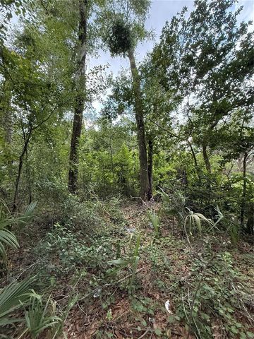 4117 SILVER LAKE DRIVE, Palatka, FL 32177