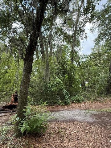 4117 SILVER LAKE DRIVE, Palatka, FL 32177