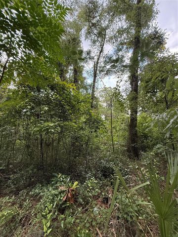 4117 SILVER LAKE DRIVE, Palatka, FL 32177