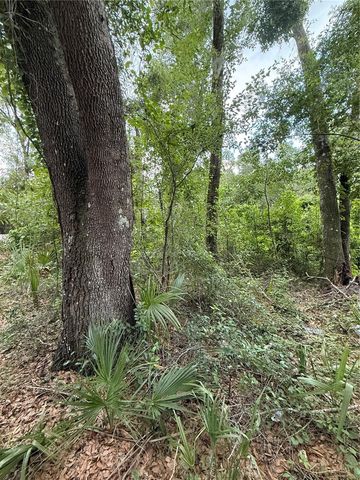 4117 SILVER LAKE DRIVE, Palatka, FL 32177