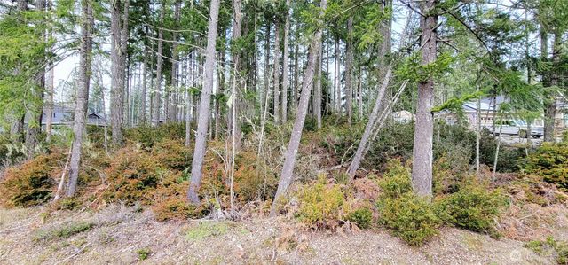 350 E Vine Maple Lane, Union, WA 98592