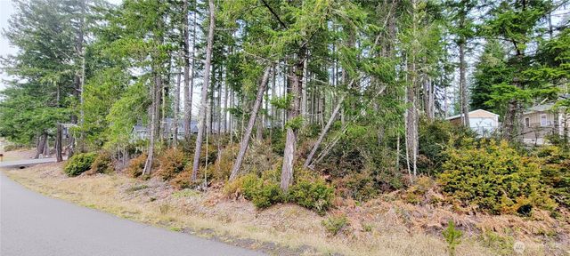 350 E Vine Maple Lane, Union, WA 98592