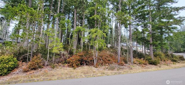 350 E Vine Maple Lane, Union, WA 98592