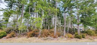 350 E Vine Maple Lane, Union, WA 98592